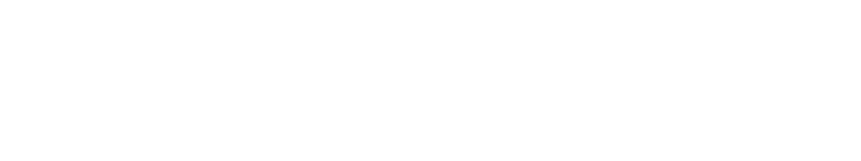 light logo